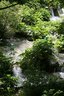 gal/cro 08/_thb_small-IMG_5594.JPG